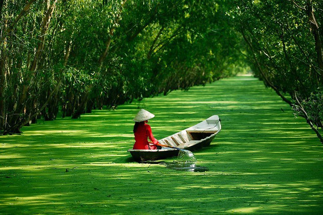 25 Hình ảnh phong cảnh Việt Nam đẹp chất lượng cao